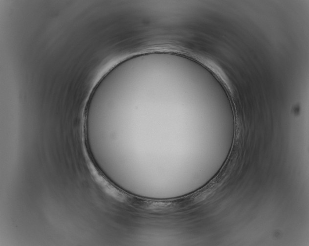 X0000093151439200709261436