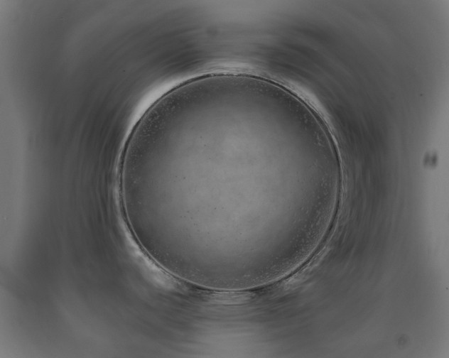 X0000093151440200709261436