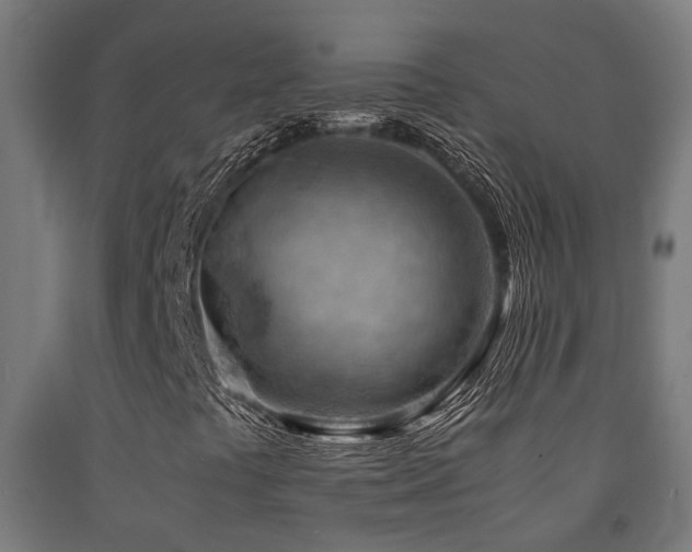 X0000093151441200709261435