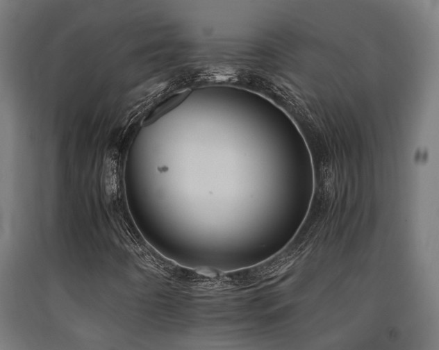 X0000093151442200709261435