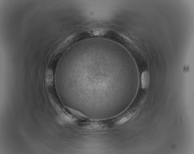 X0000093151443200709261435