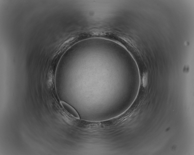 X0000093151444200709261435