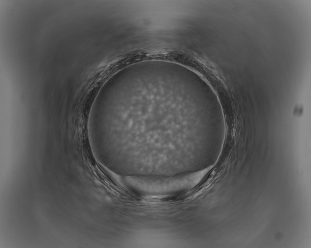 X0000093151445200709261435