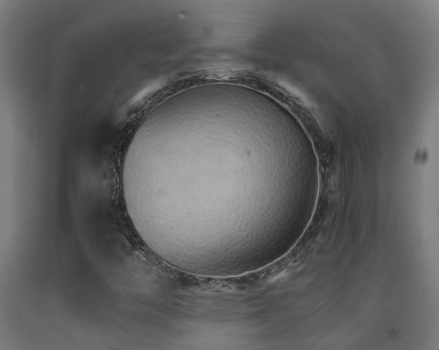 X0000093151446200709261435