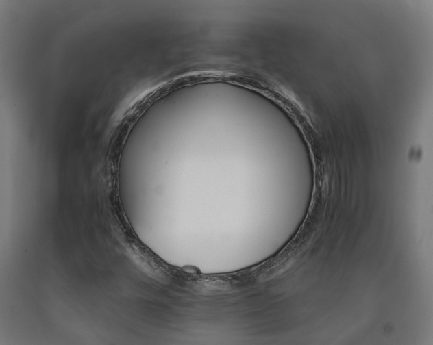 X0000093151448200709261435