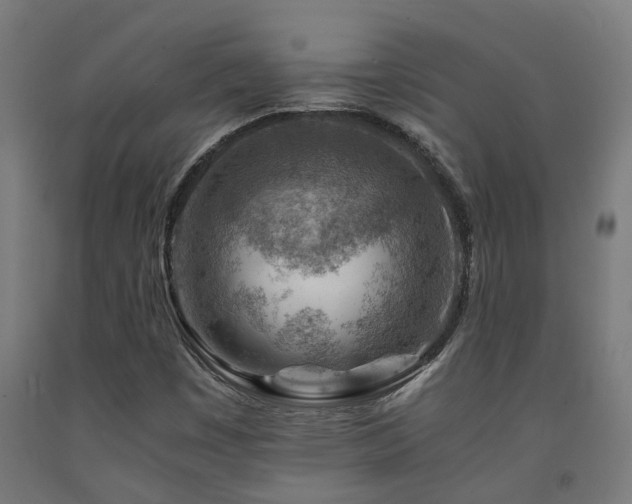 X0000093151449200709261435