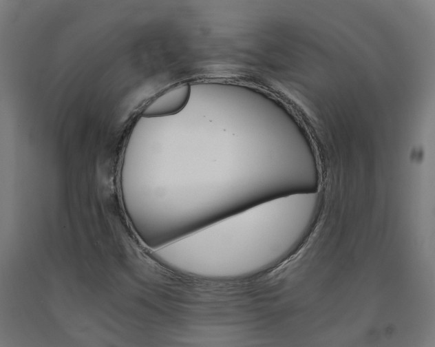 X0000093151451200709261435