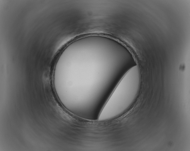 X0000093151452200709261435