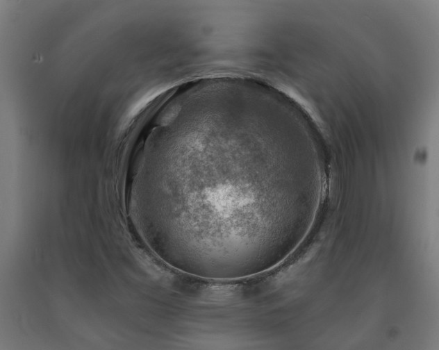 X0000093151453200709261435