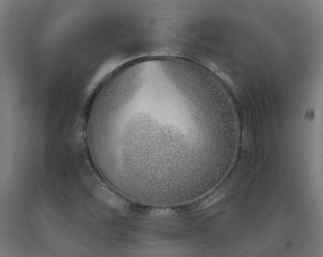X0000093151454200709261435