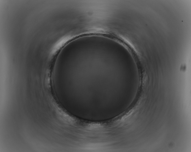 X0000093151455200709261435