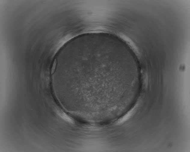 X0000093151457200709261435