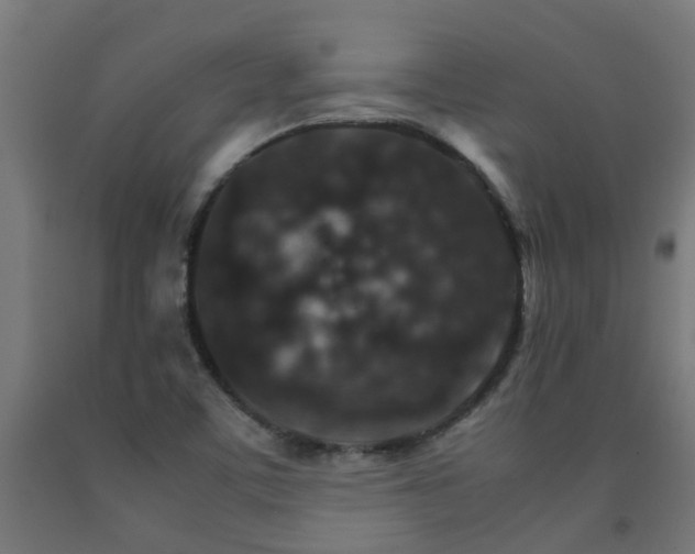 X0000093151459200709261435