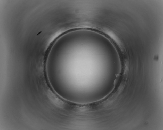 X0000093151460200709261435