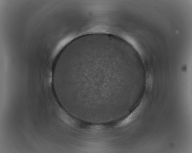 X0000093151461200709261435