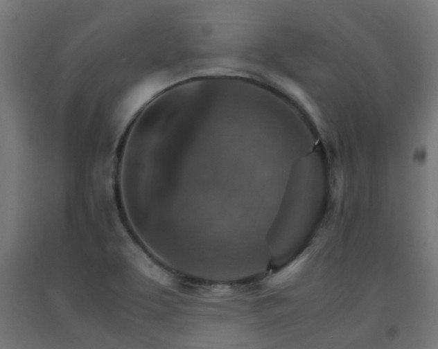 X0000093151463200709261435