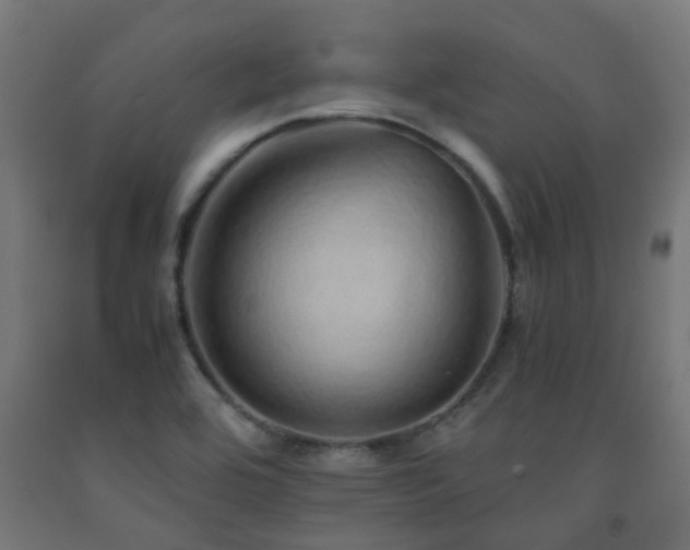 X0000093151464200709261435