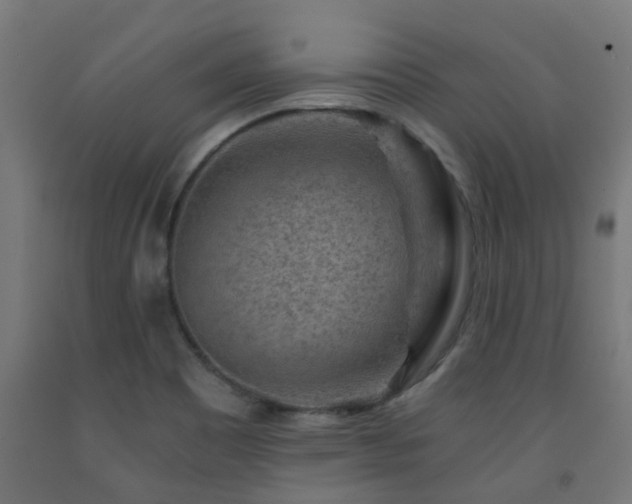 X0000093151465200709261435