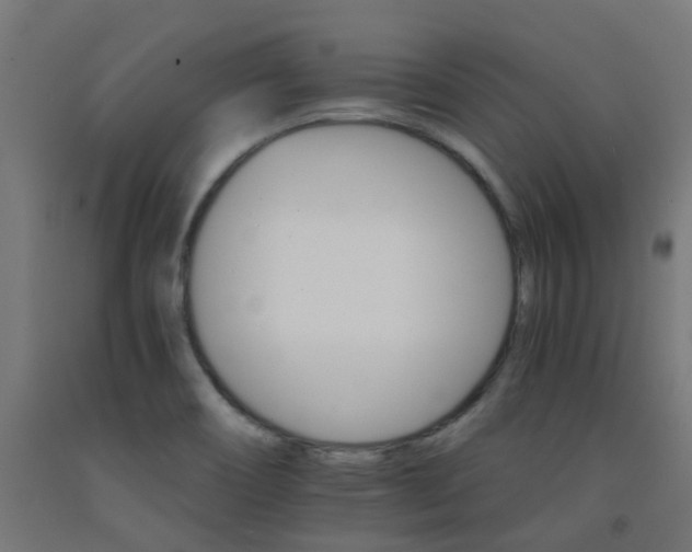 X0000093151466200709261435