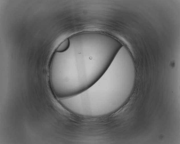 X0000093151467200709261435