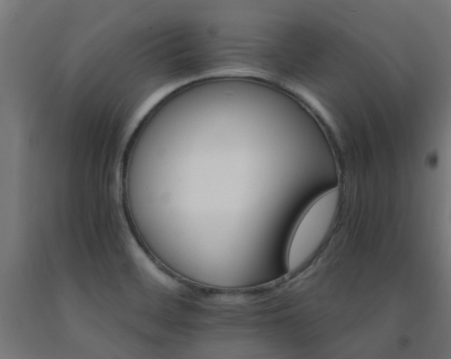 X0000093151468200709261435