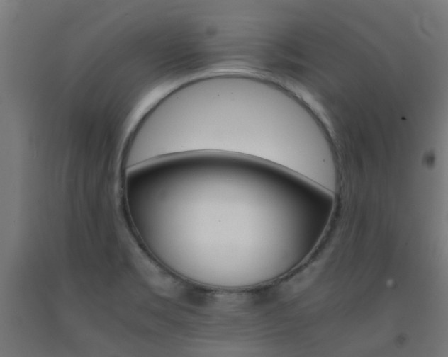 X0000093151469200709261435