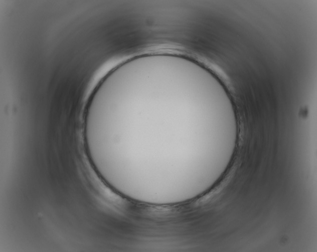X0000093151470200709261435