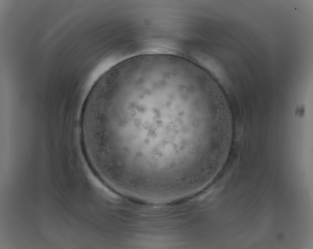 X0000093151471200709261435