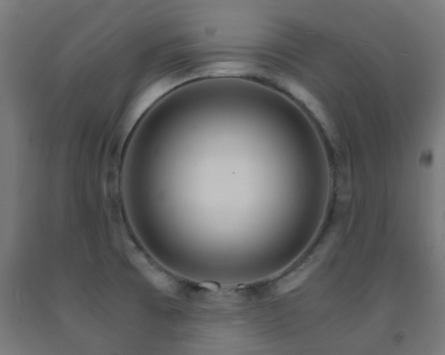 X0000093151473200709261435
