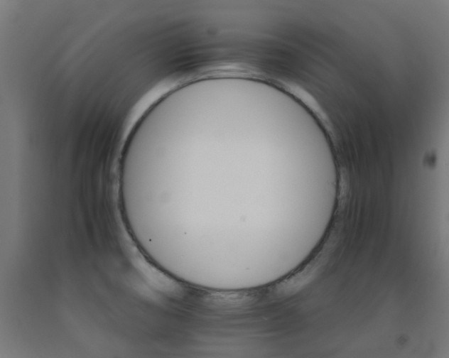 X0000093151474200709261435