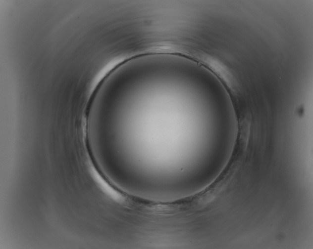 X0000093151476200709261435
