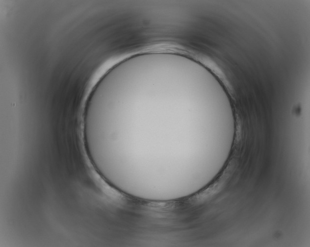 X0000093151478200709261435