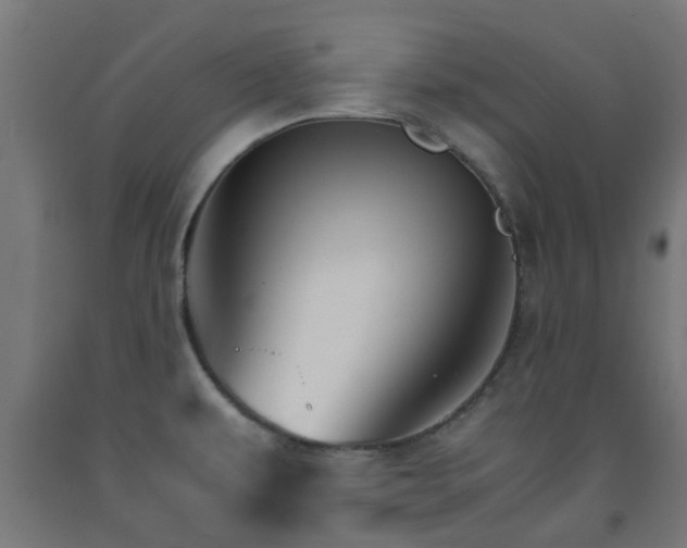 X0000093151479200709261435