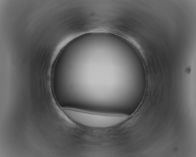 X0000093151480200709261435