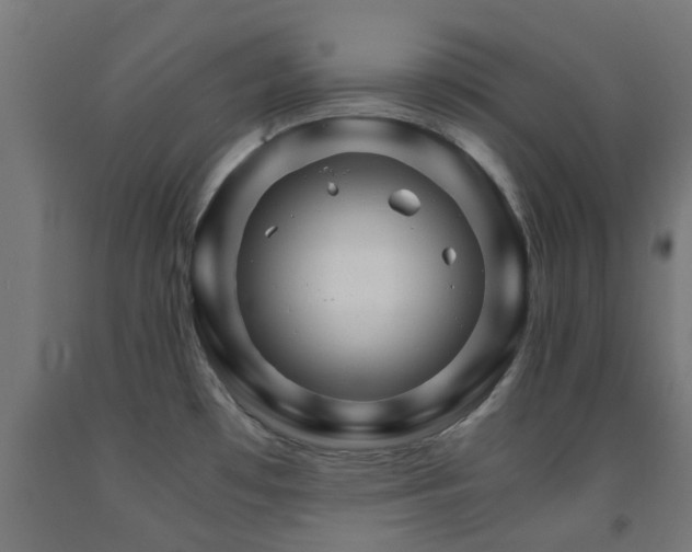 X0000093151481200709261435