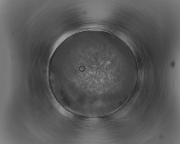 X0000093151482200709261435