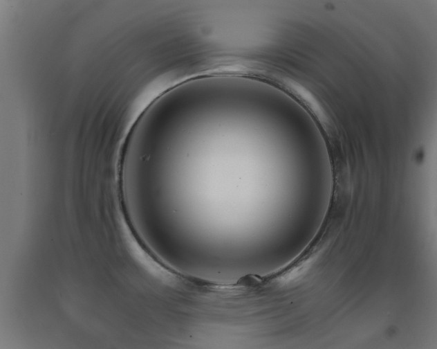 X0000093151483200709261435