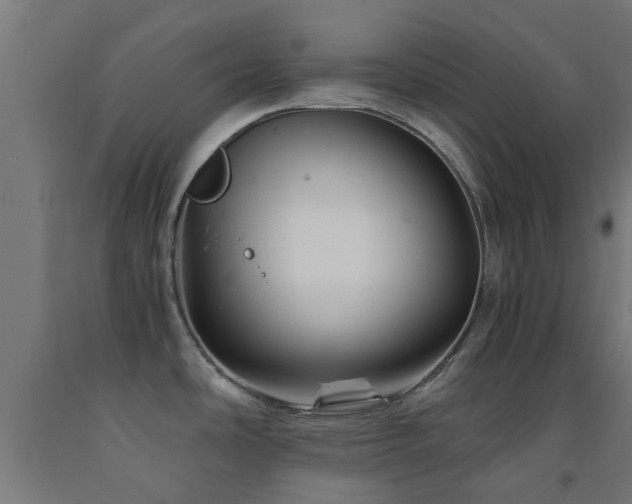 X0000093151486200709261435