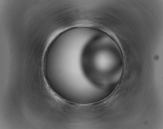 X0000093151488200709261435