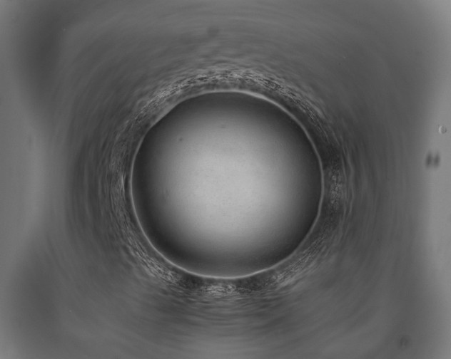 X0000093151489200709261434