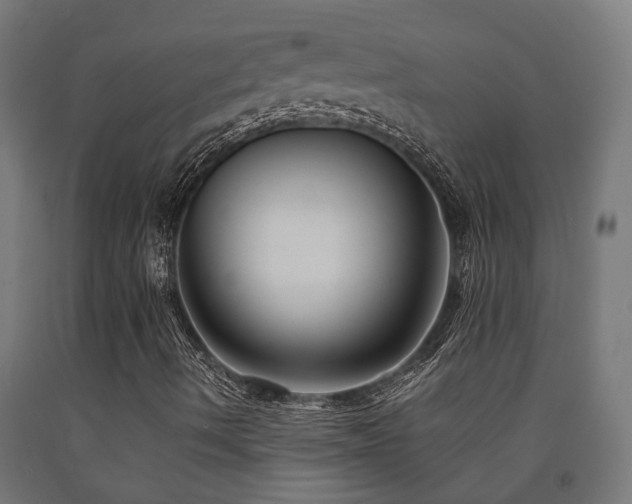 X0000093151490200709261434