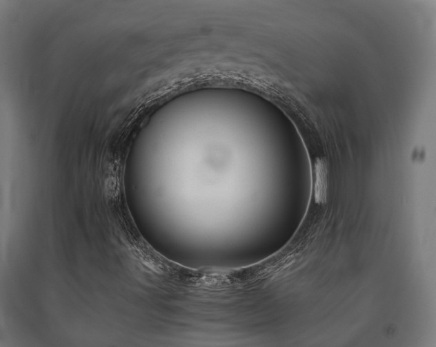 X0000093151491200709261434