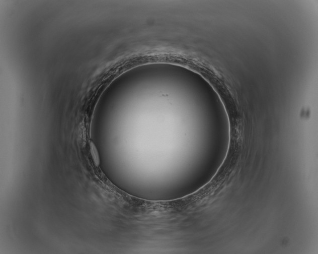 X0000093151493200709261434