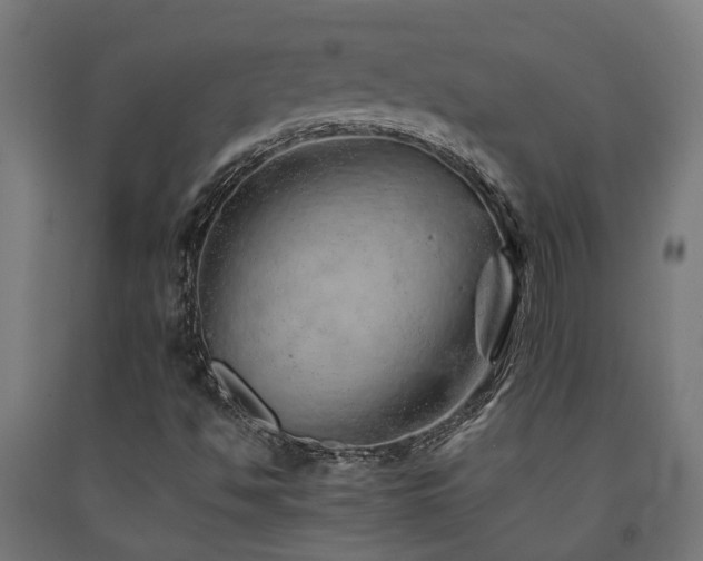 X0000093151494200709261434