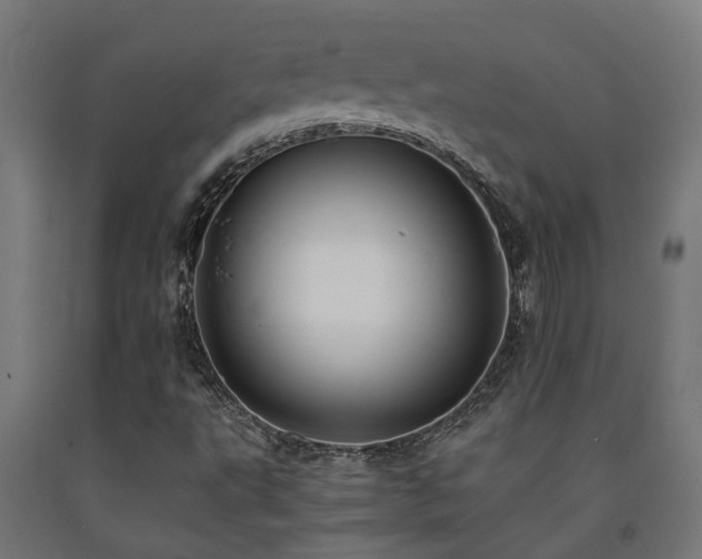 X0000093151495200709261434