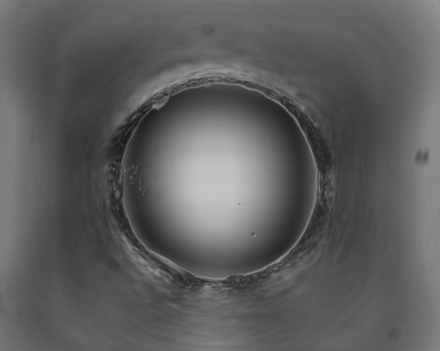 X0000093151496200709261434