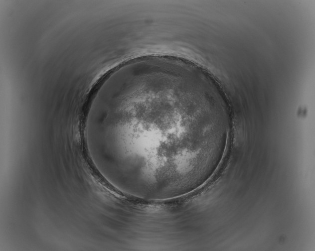 X0000093151497200709261434