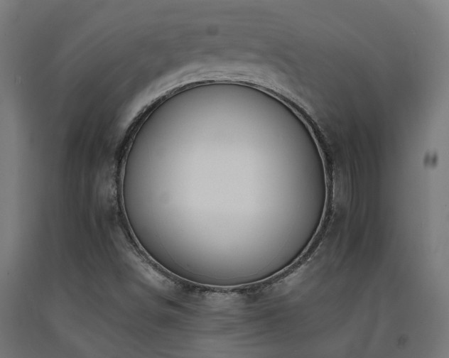 X0000093151498200709261434