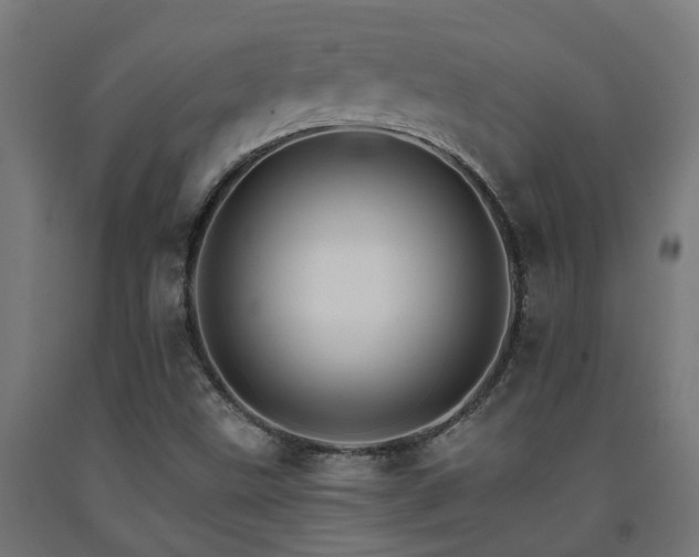 X0000093151499200709261434