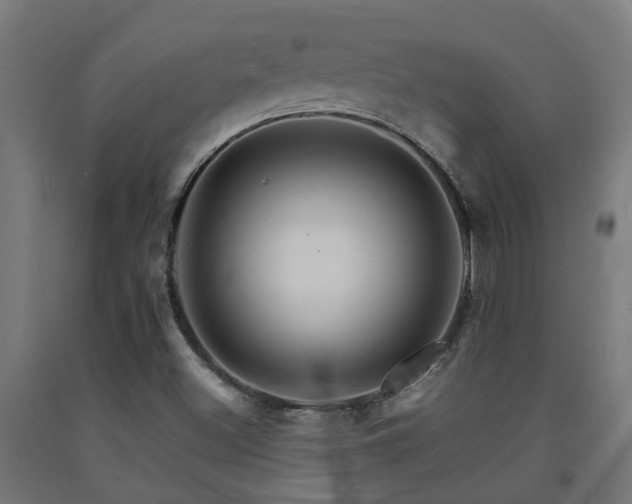 X0000093151500200709261434